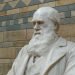 Génesis y creación según Darwin